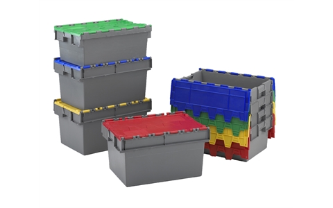 Attached Lid Containers with Coloured Lids